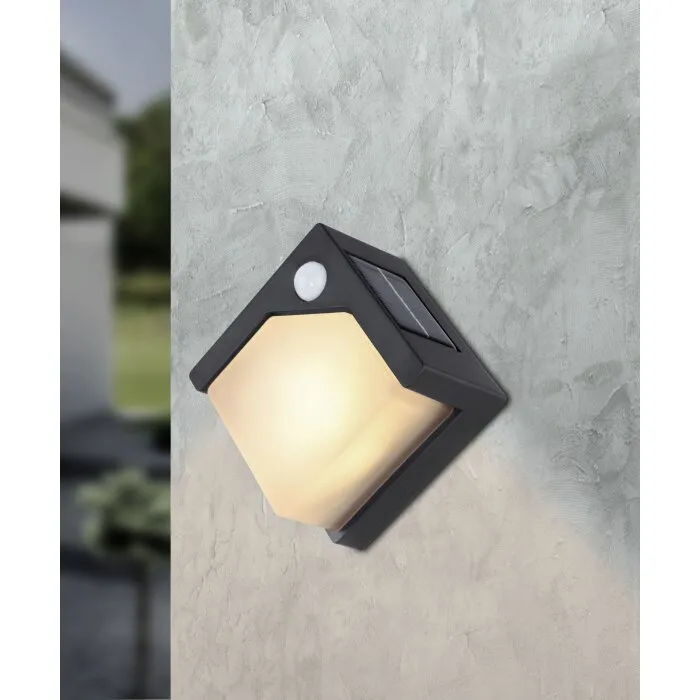 Globo Solar Applique da esterno LED Nero, 8-Luci, Sensori di movimento