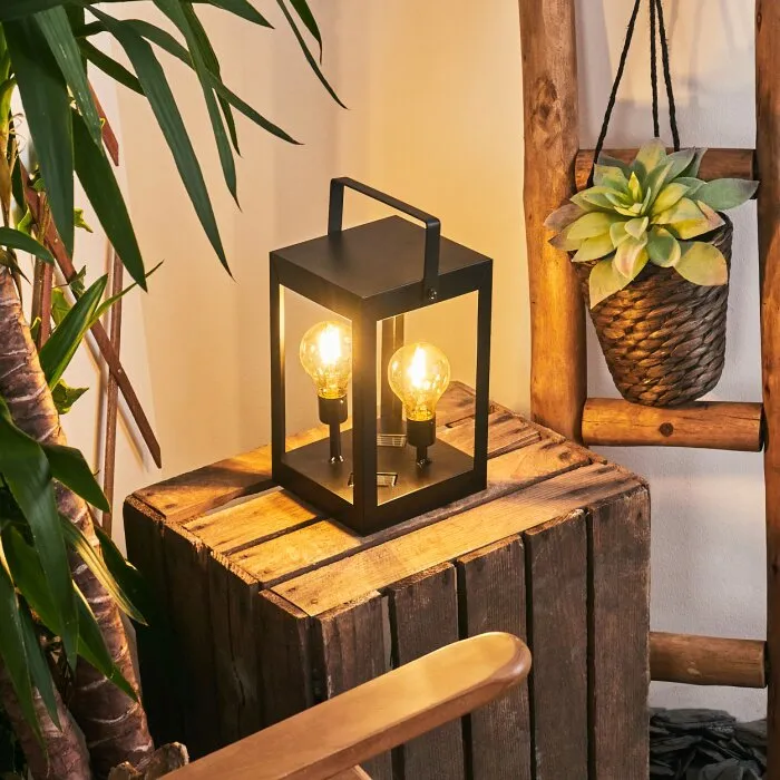 Sciolze Lampada solare Nero, Trasparente, chiaro, 2-Luci